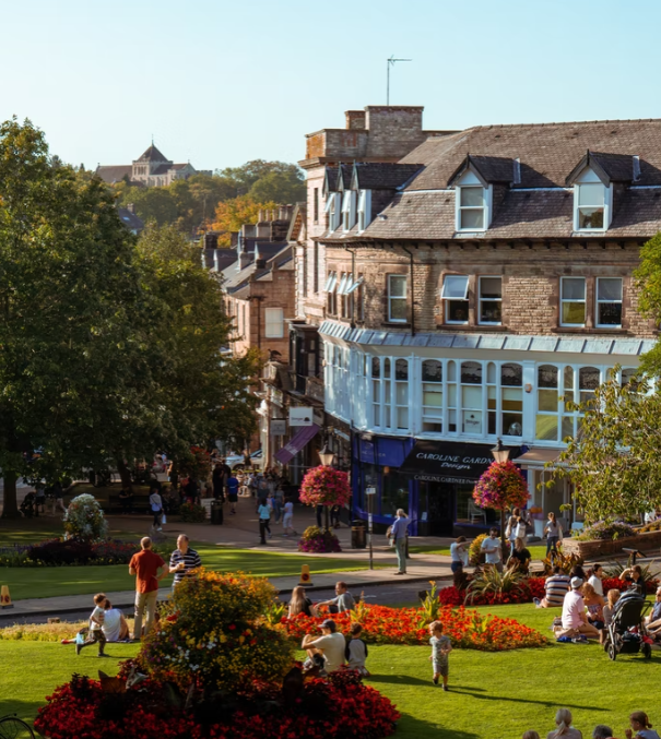 Things to do in Harrogate