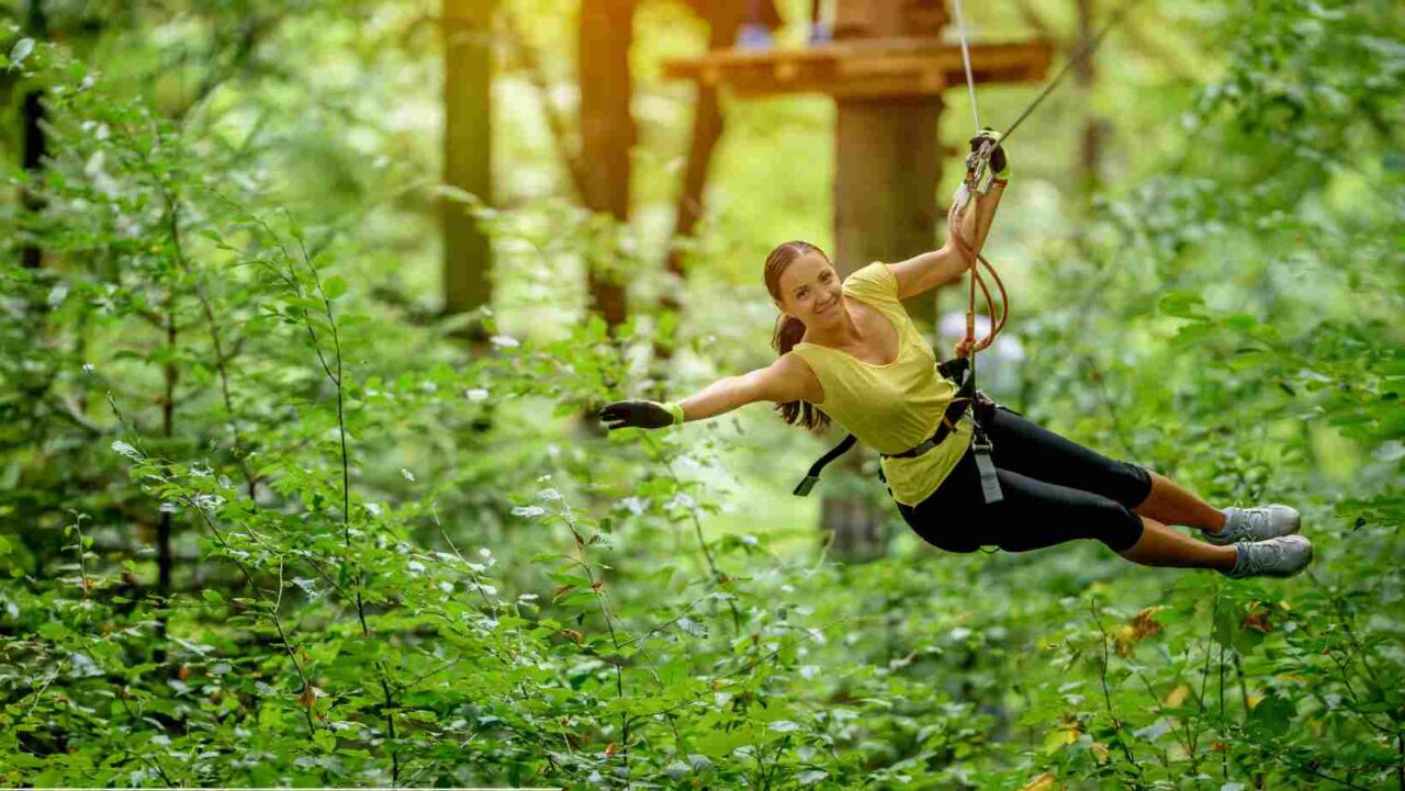 Go Ape Leeds prices are very dynamic