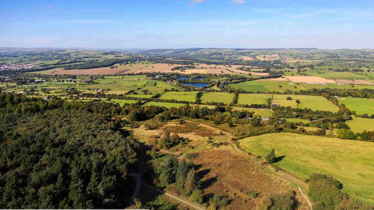 Picnic is a great idea for outdoor birthday activity in Leeds