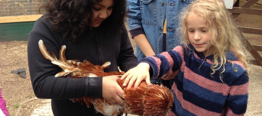 Vauxhall City Farm’s outdoor kids birthday party venues