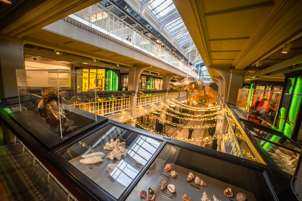 Manchester's Museums and Galleries for young adults