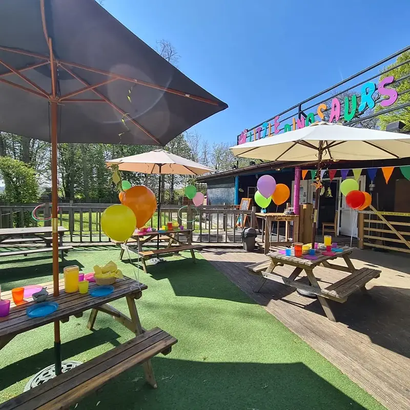 Little Dinosaurs offers toddler birthday party venues near me