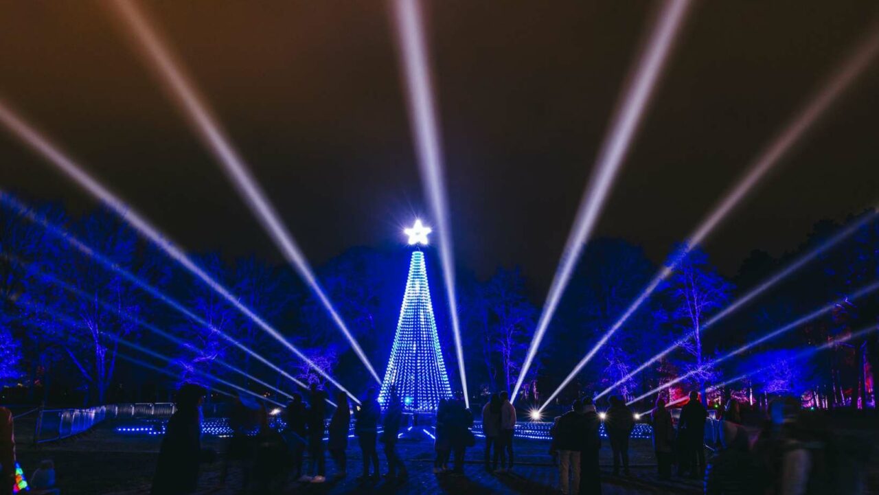 The Bute Park Light Trail Christmas events in Cardiff