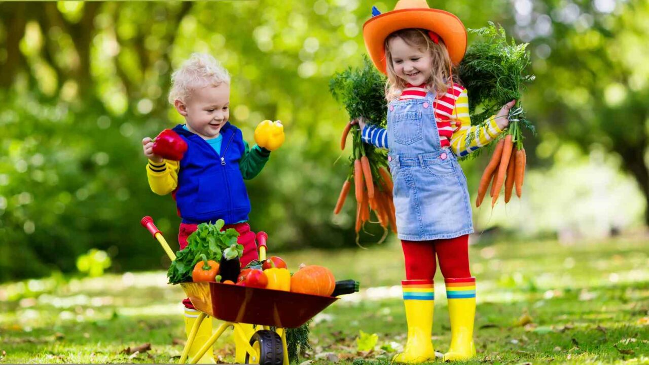 Farm party ideas for 2-year-olds can be educational and fun