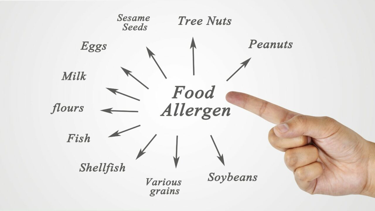 The most common allergens in food