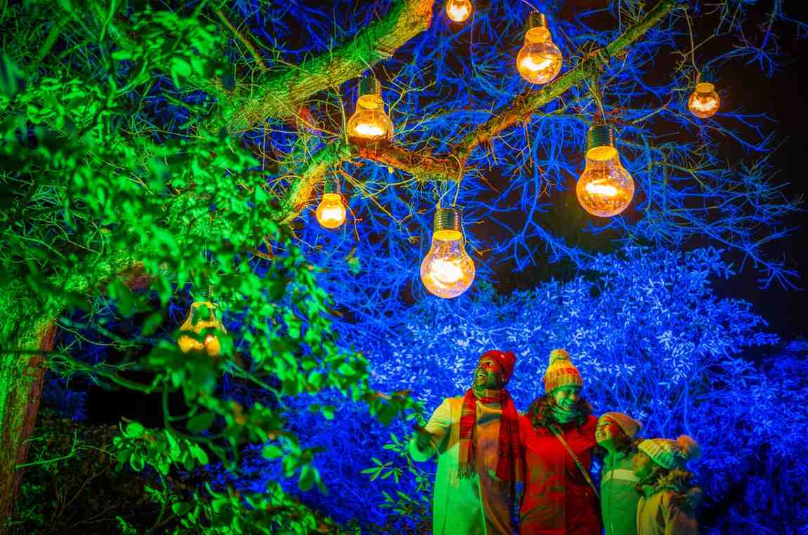 Christmas at the Botanics, a magical Christmas event in Scotland.
